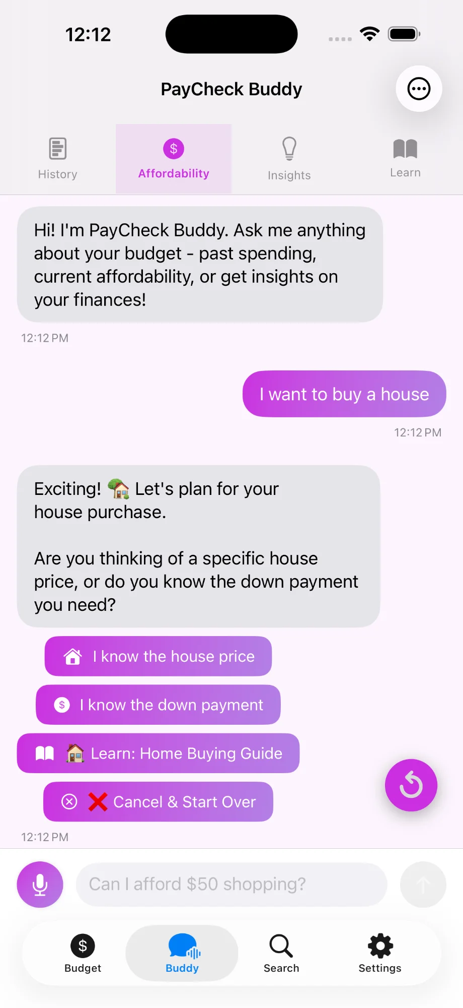 PayCheck Buddy conversational interface